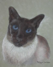 Pyewacket Portrait